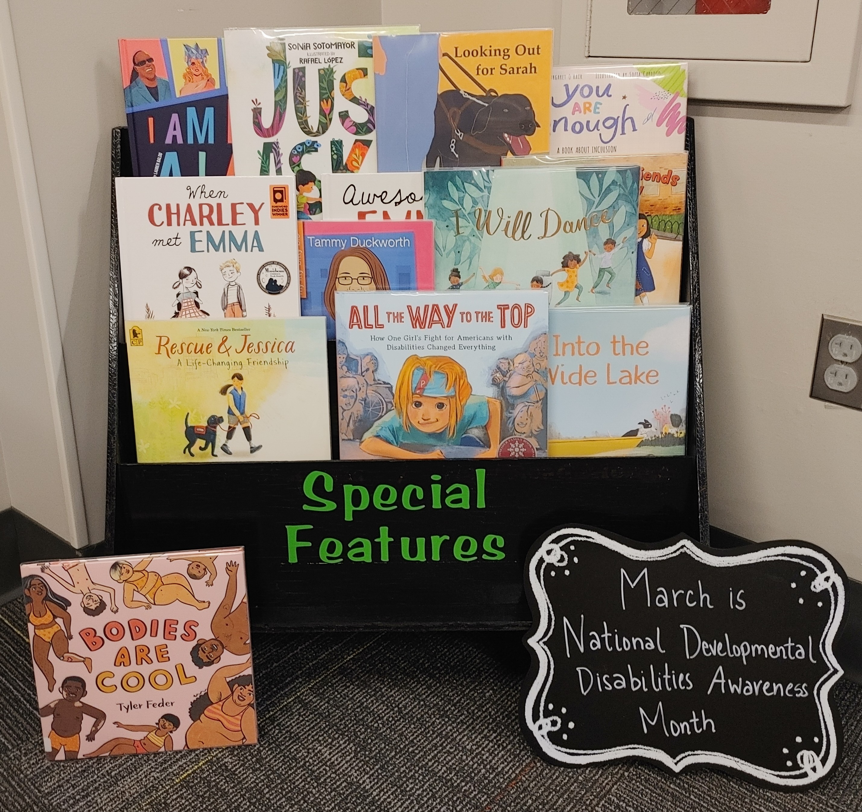 Special Feature display at the library