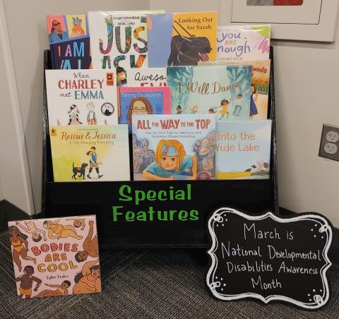 Special Feature display at the Delta Public Library